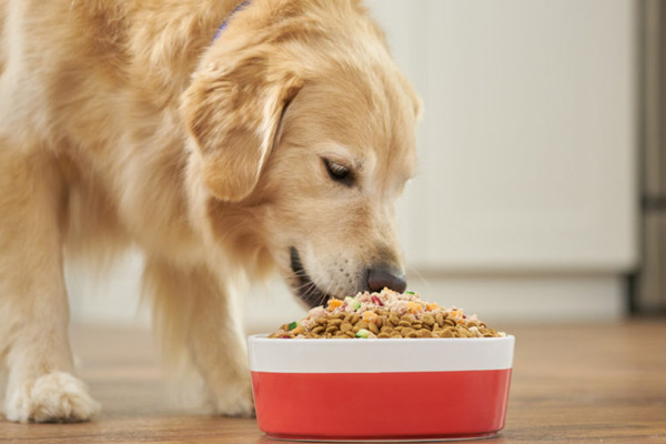 Pet Food Pet Food